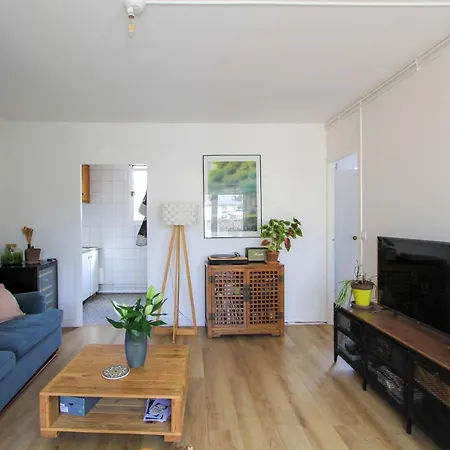 Apartment Nice 37M With Large Terrace In Paris Paris